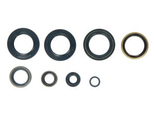 Komplet uszczelniaczy silnika P400270400006