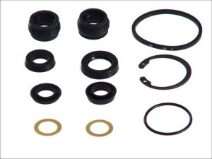 Zestaw naprawczy pompy hamulcowej D1-479