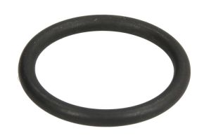 Oring uszczelniający przewodu cieczy chłodzącej FE29752