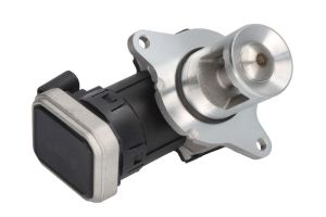 Zawór EGR 7.24809.59.0