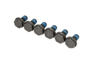 Zestaw śrub koła zamachowego 3096 005 000