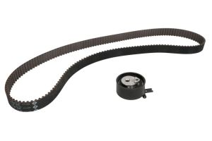 Zestaw paska rozrządu 530 0651 10