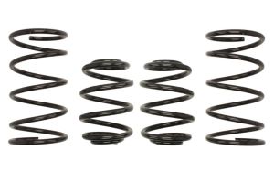 Sprężyna obniżająca E2019-140