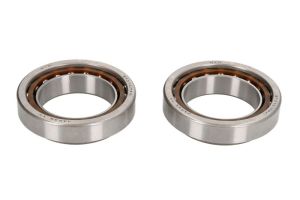 Łożysko główki ramy P400250250003