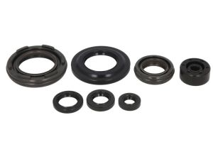 Komplet uszczelniaczy silnika P400485400351