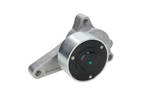 Napinacz paska wieloklinowego B05-01-056