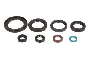 Komplet uszczelniaczy silnika P400210400319