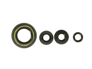 Kompletny zestaw uszczelek silnika P400210400061