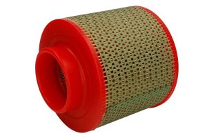 Filtr powietrza C 17 100