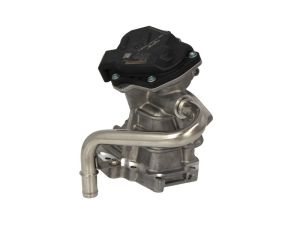 Zawór EGR A2C59515074