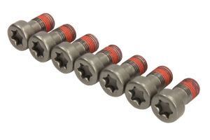 Zestaw śrub koła zamachowego 411 0238 10