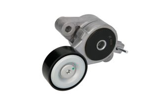 Napinacz paska wieloklinowego E3W0008BTA