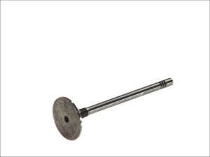 Zawór ssący 6197/S