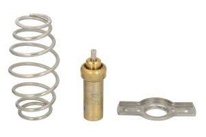 Termostat środka chłodzącego D2IV008TT