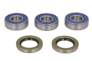 Zestaw łożyska koła AB25-1813