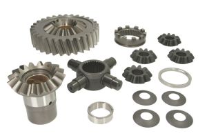 Zestaw naprawczy mechanizmu różnicowego 298485