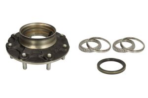 Zestaw naprawczy mechanizmu różnicowego 63432-CR