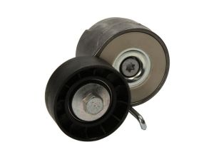 Napinacz paska wieloklinowego DAYAPV1078