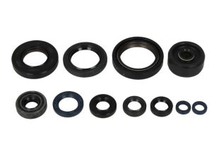 Kompletny zestaw uszczelek silnika P400485400115/1