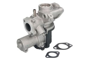 Zawór EGR 7.01782.07.0