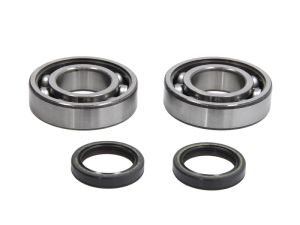 Łożysko wału korbowego P400440444001