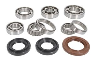 Zestaw naprawczy mechanizmu różnicowego AB25-2109
