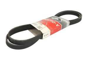 Pasek wieloklinowy GAT5PK1720