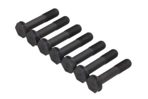 Zestaw śrub koła zamachowego 411 0232 10