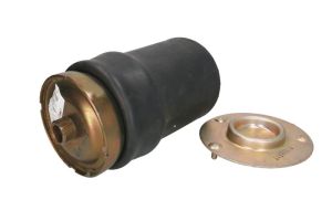 Miech zawieszenia pneumatycznego 819NP01 2686014000