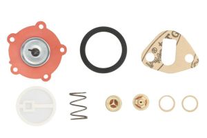 Zestaw naprawczy pompy paliwa ENT110287