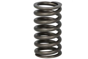 Sprężyna zaworu R91822-FP