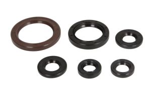 Komplet uszczelniaczy silnika P400270400093