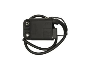 Cewka zapłonowa RMS 24 601 0070