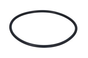 Pierścień uszczelniający, zwrotnica 828-00248-AN