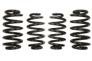 Sprężyna obniżająca E10-15-003-03-22