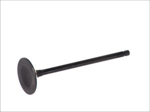 Zawór ssący 4894/SNT