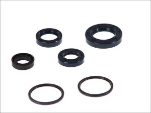 Kompletny zestaw uszczelek silnika P400420400061