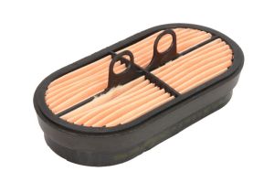 Filtr powietrza P600975