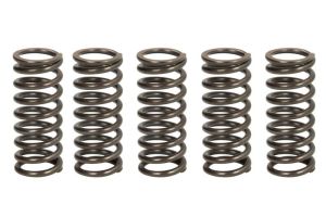 Zestaw sprężyn sprzęgła MEF304-5