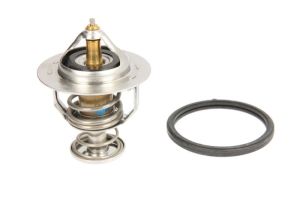 Termostat środka chłodzącego D20505H