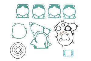 Kompletny zestaw uszczelek silnika P400270850049