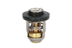 Termostat środka chłodzącego 825212A1