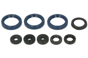 Kompletny zestaw uszczelek silnika P400250400071