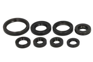 Komplet uszczelniaczy silnika P400485400041