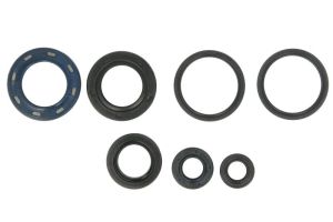 Kompletny zestaw uszczelek silnika P400210400136