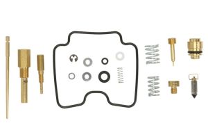Zestaw naprawczy gaźnika CAB-DS13