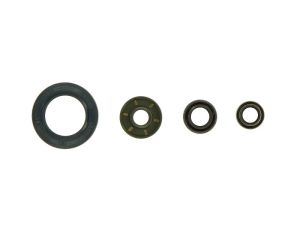 Komplet uszczelniaczy silnika P400270400054