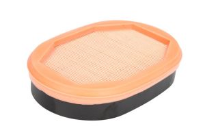 Filtr powietrza P785965