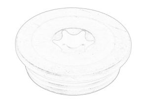 Zaślepka wałka rozrządu 55571241