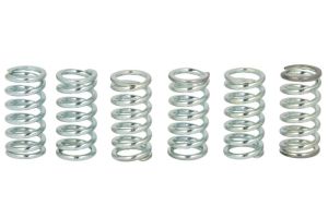 Zestaw sprężyn sprzęgła MEF106-6